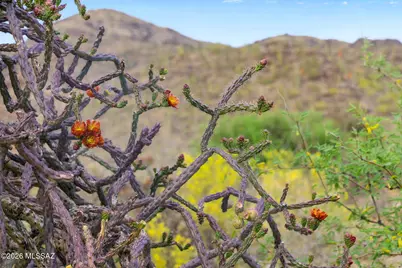 7640 N Camino Sin Vacas #229, Tucson, AZ 85718 - Photo 21