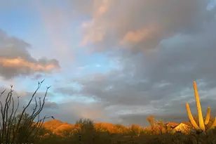 6799 W Cliff Spring Trail, Marana, AZ 85658 - Photo 43