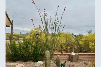 6799 W Cliff Spring Trail, Marana, AZ 85658 - Photo 15