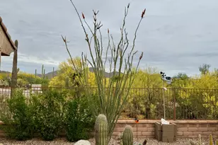 6799 W Cliff Spring Trail, Marana, AZ 85658 - Photo 15