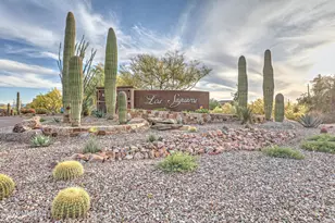 14095 N Speckled Burro Ln, Marana, AZ 85658 - Photo 49