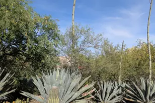 2241 W Kendra Pl, Tucson, AZ 85741 - Photo 7