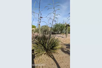 2241 W Kendra Place, Tucson, AZ 85741 - Photo 5