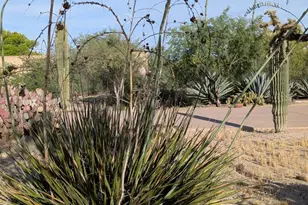 2241 W Kendra Pl, Tucson, AZ 85741 - Photo 5