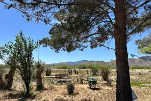 866 W Ironwood Rd, Cochise, AZ 85606 - Photo 13