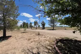 3282 W Cox Rd, Willcox, AZ 85643 - Photo 7