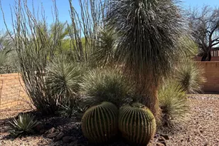 632 N Avenida Tortuga, Green Valley, AZ 85614 - Photo 23