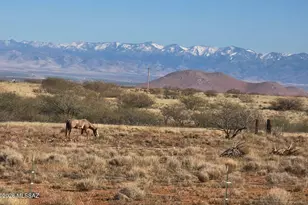 286 S Palm Rd, Pearce, AZ 85625 - Photo 37