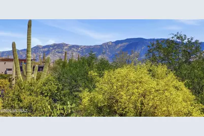 1915 Tortolita Mountain Circle, Oro Valley, AZ 85755 - Photo 41