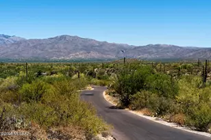 11054 S Guillermo Haro Dr, Vail, AZ 85641 - Photo 17