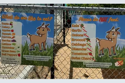 3663 E 33rd Street, Tucson, AZ 85713 - Photo 33