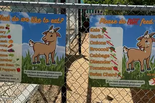 3663 E 33rd St, Tucson, AZ 85713 - Photo 33