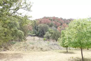 1697 Tombstone Canyon, Bisbee, AZ 85603 - Photo 13