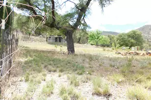 1697 Tombstone Canyon, Bisbee, AZ 85603 - Photo 23