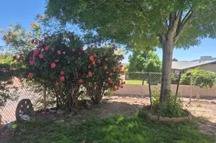385 Hackberry Dr, Clifton, AZ 85533 - Photo 3