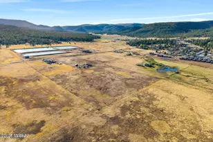 216 County Road 2311, Alpine, AZ 85920 - Photo 47