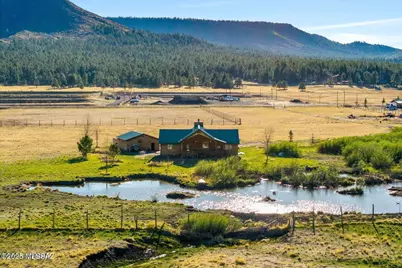 216 County Road 2311, Alpine, AZ 85920 - Photo 43