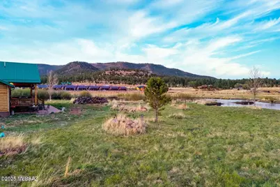 216 County Road 2311, Alpine, AZ 85920 - Photo 39