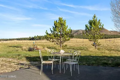 216 County Road 2311, Alpine, AZ 85920 - Photo 15