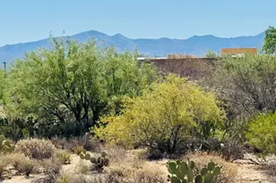 453 W Windham Blvd, Green Valley, AZ 85614 - Photo 29