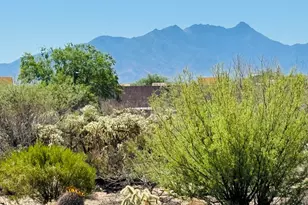 453 W Windham Blvd, Green Valley, AZ 85614 - Photo 31