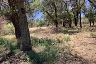 10323 E Rock Creek Ln, Pearce, AZ 85625 - Photo 41