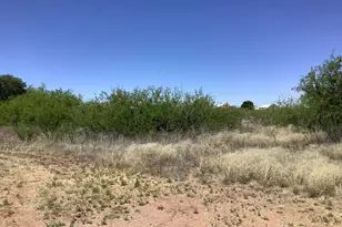 10323 E Rock Creek Ln, Pearce, AZ 85625 - Photo 47