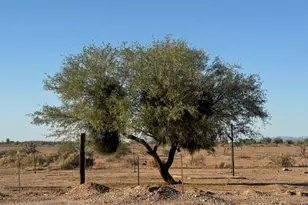 7270 N Razorback Rd, Tucson, AZ 85743 - Photo 41