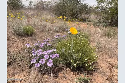 Lot 3969 N Valladolid Drive #3969, Douglas, AZ 85607 - Photo 3