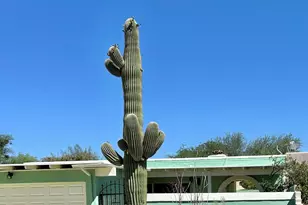 1348 W Placita Oro, Tucson, AZ 85745 - Photo 39