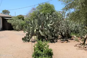 4825 E 18th St, Tucson, AZ 85711 - Photo 17