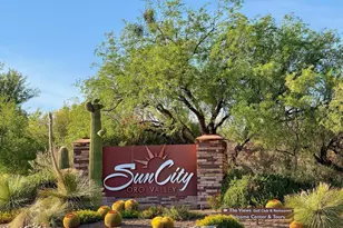 2349 E Agapanthus St, Oro Valley, AZ 85755 - Photo 29