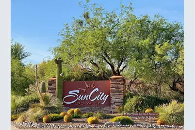 2349 E Agapanthus Street, Oro Valley, AZ 85755 - Photo 27