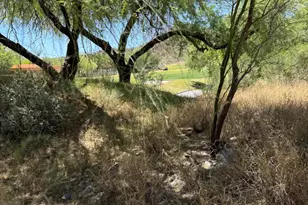 3177 Flowering Cactus Ct, Tucson, AZ 85745 - Photo 35