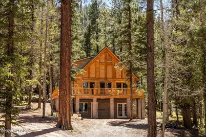 6 County Rd 2024, Alpine, AZ 85920 - Photo 5
