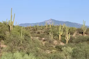 14545 E Rincon Creek Ranch Rd, Tucson, AZ 85747 - Photo 23