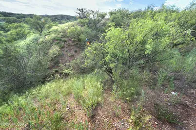847 Side Oats Lane #192, Patagonia, AZ 85624 - Photo 1