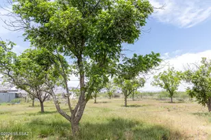 2457 N Long Canyon Dr, Willcox, AZ 85643 - Photo 33