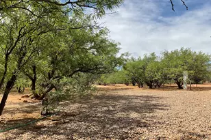 7011 S Pintek Ln, Hereford, AZ 85615 - Photo 11