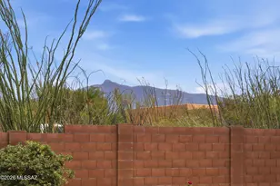 8994 S Placita Rancho De La Vista, Vail, AZ 85641 - Photo 43
