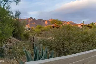 6250 N Campbell Ave, Tucson, AZ 85718 - Photo 31