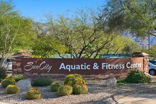 1741 E Chalk Creek Ct, Oro Valley, AZ 85755 - Photo 47