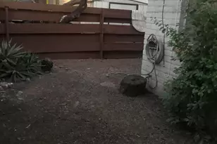 3699 N Mountain Ave, Tucson, AZ 85719 - Photo 13