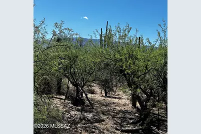 E Roger Road #46, Tucson, AZ 85749 - Photo 29