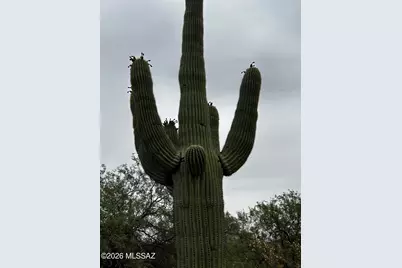 E Roger Road #46, Tucson, AZ 85749 - Photo 17