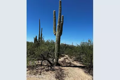 E Roger Road #46, Tucson, AZ 85749 - Photo 3