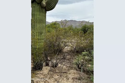 E Roger Road #46, Tucson, AZ 85749 - Photo 7