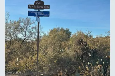 1711 W Placita Festiva #46, Sahuarita, AZ 85629 - Photo 9