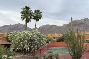 6651 N Campbell Ave, Tucson, AZ 85718 - Photo 21