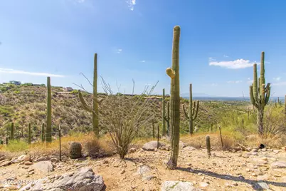 7164 N Cathedral Rock Place, Tucson, AZ 85718 - Photo 47